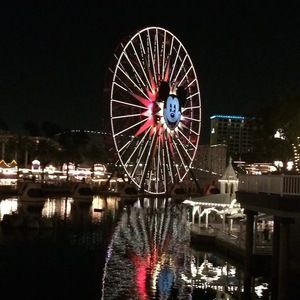 Meet your Posher, Brenda!